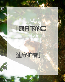 烈日下的高速守护者