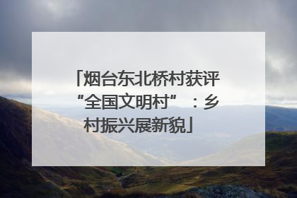烟台东北桥村获评“全国文明村”：乡村振兴展新貌