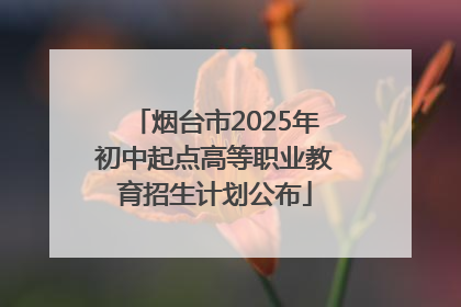 烟台市2025年初中起点高等职业教育招生计划公布