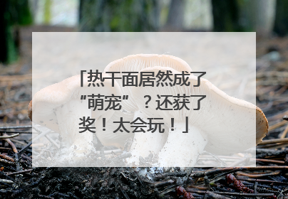 热干面居然成了“萌宠”？还获了奖！太会玩！