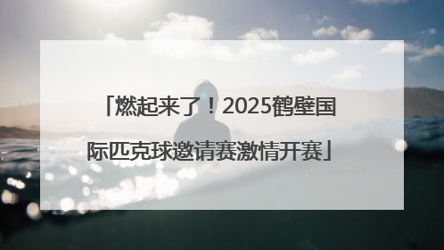 燃起来了！2025鹤壁国际匹克球邀请赛激情开赛