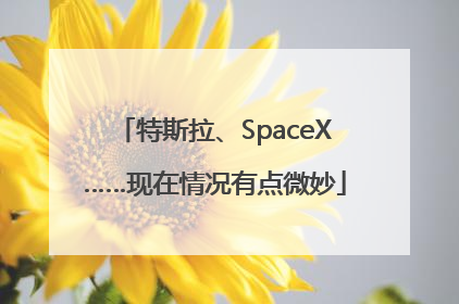 特斯拉、SpaceX……现在情况有点微妙