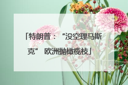 特朗普：“没空理马斯克” 欧洲抛橄榄枝