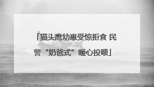 猫头鹰幼崽受惊拒食 民警“奶爸式”暖心投喂