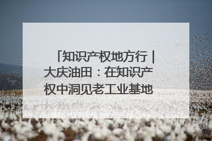知识产权地方行｜大庆油田：在知识产权中洞见老工业基地的 “创新密码”