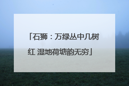 石狮：万绿丛中几树红 湿地荷塘韵无穷