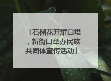 石榴花开耀白塔，新街口举办民族共同体宣传活动