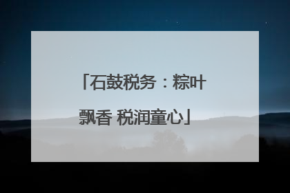 石鼓税务：粽叶飘香 税润童心