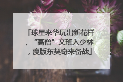 球星来华玩出新花样，“高僧”文班入少林，瘦版东契奇来备战
