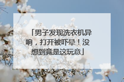 男子发现洗衣机异响，打开被吓晕！没想到竟是这玩意