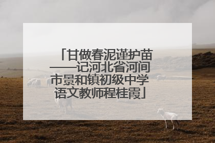 甘做春泥谨护苗——记河北省河间市景和镇初级中学语文教师程桂霞