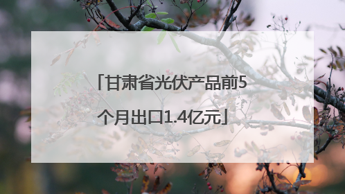 甘肃省光伏产品前5个月出口1.4亿元