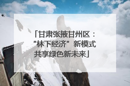 甘肃张掖甘州区：“林下经济”新模式 共享绿色新未来