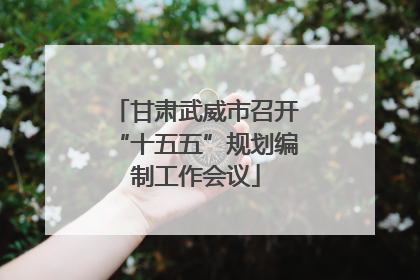 甘肃武威市召开“十五五”规划编制工作会议