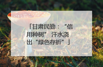 甘肃民勤：“信用种树” 汗水浇出“绿色存折”