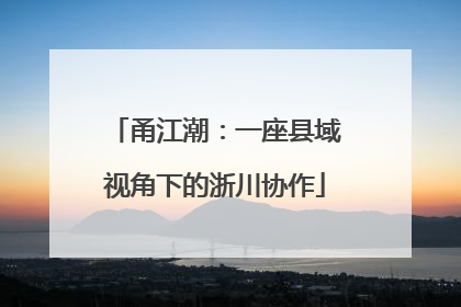 甬江潮：一座县域视角下的浙川协作