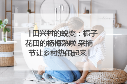 田兴村的蜕变：栀子花田的杨梅熟啦 采摘节让乡村热闹起来