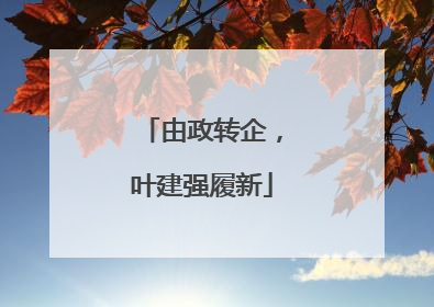 由政转企，叶建强履新