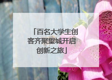 百名大学生创客齐聚望城开启创新之旅