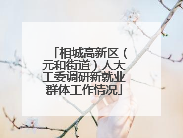 相城高新区（元和街道）人大工委调研新就业群体工作情况