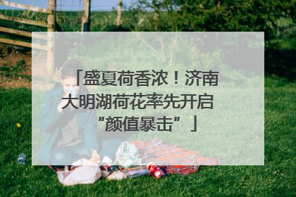 盛夏荷香浓！济南大明湖荷花率先开启“颜值暴击”