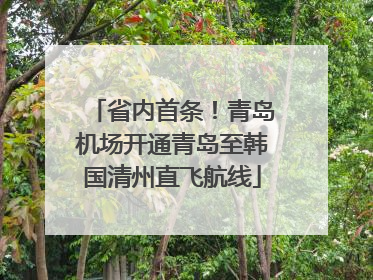 省内首条！青岛机场开通青岛至韩国清州直飞航线
