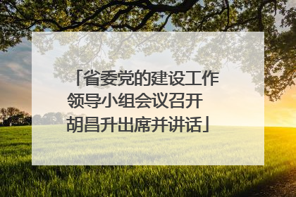 省委党的建设工作领导小组会议召开 胡昌升出席并讲话
