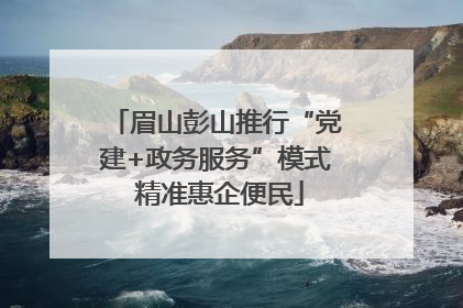 眉山彭山推行“党建+政务服务”模式 精准惠企便民