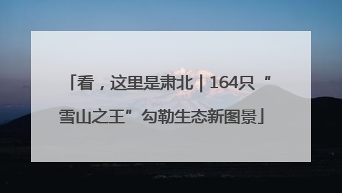 看，这里是肃北｜164只“雪山之王”勾勒生态新图景