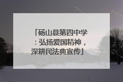 砀山县第四中学：弘扬爱国精神，深耕民法典宣传
