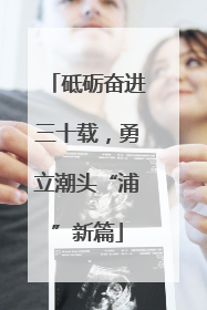 砥砺奋进三十载，勇立潮头“浦”新篇