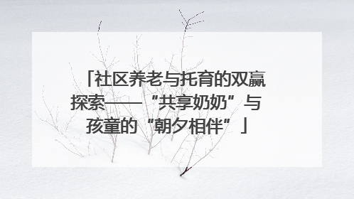 社区养老与托育的双赢探索——“共享奶奶”与孩童的“朝夕相伴”