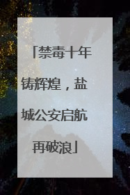 禁毒十年铸辉煌，盐城公安启航再破浪