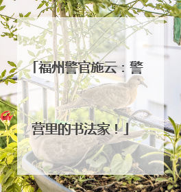 福州警官施云：警营里的书法家！
