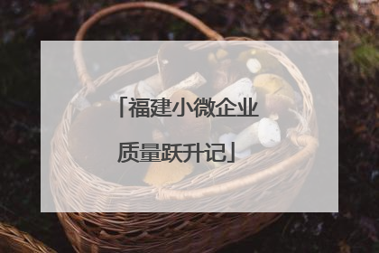 福建小微企业质量跃升记