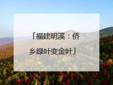 福建明溪：侨乡绿叶变金叶