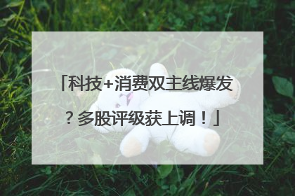 科技+消费双主线爆发？多股评级获上调！