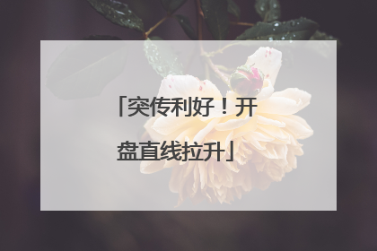 突传利好！开盘直线拉升