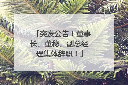 突发公告！董事长、董秘、副总经理集体辞职！
