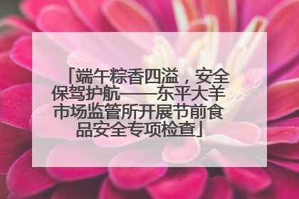 端午粽香四溢，安全保驾护航——东平大羊市场监管所开展节前食品安全专项检查