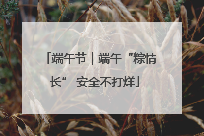 端午节｜端午“粽情长” 安全不打烊
