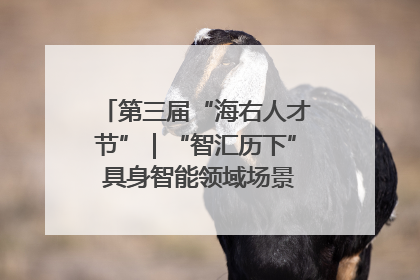第三届“海右人才节”｜“智汇历下” 具身智能领域场景对接会举办