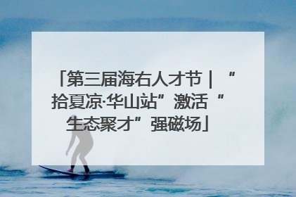 第三届海右人才节｜“拾夏凉·华山站”激活“生态聚才”强磁场