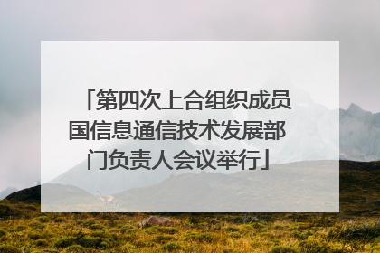 第四次上合组织成员国信息通信技术发展部门负责人会议举行