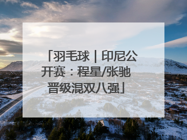 羽毛球｜印尼公开赛：程星/张驰晋级混双八强