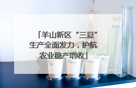 羊山新区“三夏”生产全面发力，护航农业稳产增收