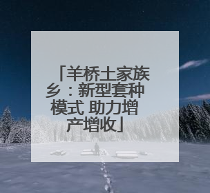 羊桥土家族乡：新型套种模式 助力增产增收