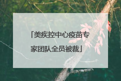 美疾控中心疫苗专家团队全员被裁