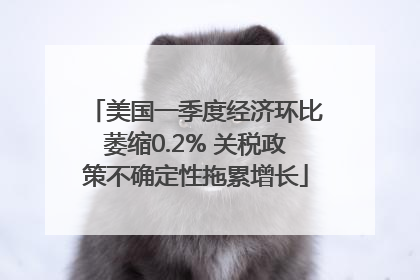 美国一季度经济环比萎缩0.2% 关税政策不确定性拖累增长