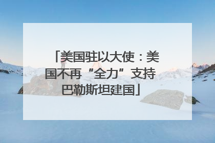 美国驻以大使：美国不再“全力”支持巴勒斯坦建国